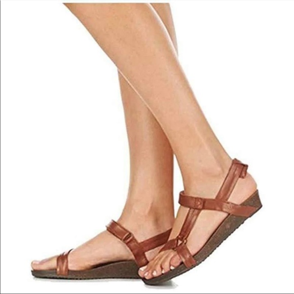 Ysidro universal Clearance